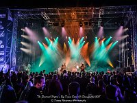 The Reverend Peyton's Big Damn Band - Fonnefeesten 2017 - Danny Wagemans-9  The Reverend Peyton's Big Damn Band @ Fonnefeesten 2017