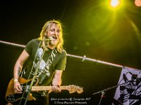 Zebras are timeless - Fonnefeesten 2017 - Danny Wagemans-11  Zebras are timeless@ Fonnefeesten 2017