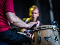 Eddy et les Vedettes @ Fonnefeesten 2018  Eddy et les Vedettes @ Fonnefeesten