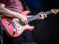 Eddy et les Vedettes @ Fonnefeesten 2018  Eddy et les Vedettes @ Fonnefeesten