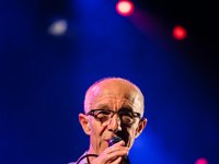 Raymond van het Groenewoud @ Fonnefeesten 2018  Raymond van het Groenewoud @ Fonnefeesten