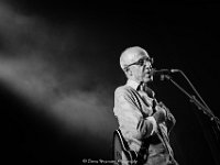 Raymond van het Groenewoud @ Fonnefeesten 2018  Raymond van het Groenewoud @ Fonnefeesten