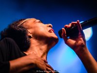 Zap Mama @ Fonnefeesten  Zap Mama @ Fonnefeesten