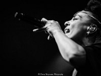 Zap Mama @ Fonnefeesten  Zap Mama @ Fonnefeesten