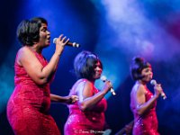Motown Supremacy @ Fonnefeesten 2019