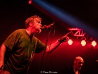 Red Zebra @ Fonnefeesten 2019 - Danny Wagemans-22  Red Zebra @ Fonnefeesten 2019