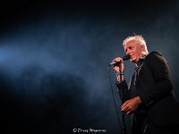 Rick De Leeuw @ Fonnefeesten 2019  Rick De Leeuw @ Fonnefeesten 2019