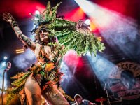 The Backseat Boppers-Fonnefeesten 2022- Danny Wagemans-35