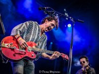 Green Crow Collective-Fonnefeesten 2023-Danny Wagemans-2  Green Crow  Collective @ Fonnefeesten