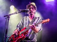 Green Crow Collective-Fonnefeesten 2023-Danny Wagemans-23  Green Crow  Collective @ Fonnefeesten