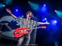 Green Crow Collective-Fonnefeesten 2023-Danny Wagemans-3  Green Crow  Collective @ Fonnefeesten