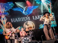 Harlem Lake-Fonnefeesten 2023-Danny Wagemans-19  Harlem Lake  @ Fonnefeesten