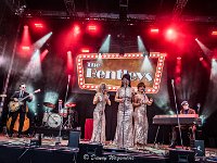 The Bentleys+The Bendellas-Fonnefeesten 2023-Danny Wagemans-23  The Bentleys and   Bendellas @ Fonnefeesten