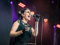 The Jacquelines-Fonnefeesten 2023-Danny Wagemans-7  The Jacquelines @ Fonnefeesten