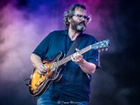 Fred and the Healers-Fonnefeesten 2024-Danny Wagemans-3