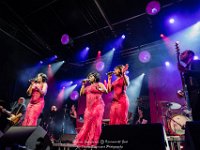 Motown Supremacy - Korenmarkt Gent -  Danny Wagemans-3  Motown Supremacy @ Korenmarkt Gent