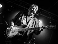 Guy Swinnen Band @ Sint-Niklaas - Danny Wagemans-30  Guy Swinnen Band @ Vintage Waasland 2019