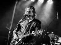 Guy Swinnen Band @ Sint-Niklaas - Danny Wagemans-44  Guy Swinnen Band @ Vintage Waasland 2019