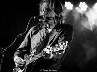 Guy Swinnen Band @ Sint-Niklaas - Danny Wagemans-49  Guy Swinnen Band @ Vintage Waasland 2019