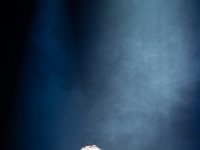 Jasper Steverlinck @ Capitole Gent  Jasper Steverlinck @ Capitole Gent