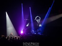 Ozark Henry - Marktrock Indoor - Danny Wagemans-15  Ozark Henry @ Marktrock Indoor