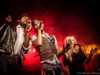 Grand Hammond @ Palm Parkies Sint-Niklaas  Grand Hammond @ Palm Parkies Sint-Niklaas 2015 : 2015, Grand Hammond, Parkies, Sint-Niklaas