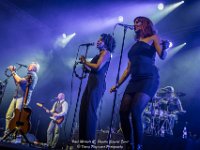 Paul Michiels - Papillio Special Event 2018 - Danny Wagemans-1  Paul Michiels @ Paillio Special Event 2018 : 2018, A7II, Concert, Paul MIchiels, Sony, Special Event, TTT-Artists, Waregem