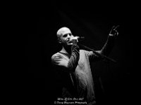 Milow - Villa Pace 2017 - Danny Wagemans-21