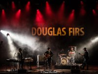 Douglas Firs @ Villa Pace 2019  Douglas Firs @ Villa Pace 2019