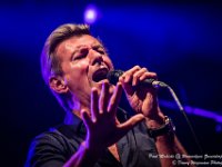 Paul Michiels @ Wommelgem Zomerdorp 2016-25  Paul Michiels @ Wommelgem Zomerdorp 2016